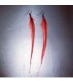 Boucles d'oreilles - collection Foly